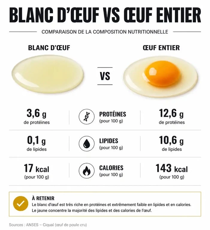 Infographie comparative des apports nutritionnels entre le blanc d'œuf et l'œuf entier pour la musculation
